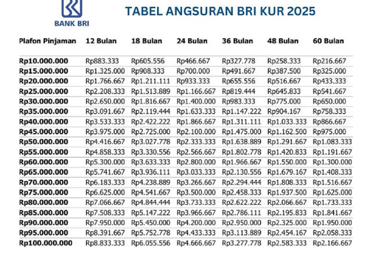 Pinjaman KUR BRI Syaratnya Apa Saja? Hindari Hal-Hal Ini Agar Pinjamanmu Disetujui