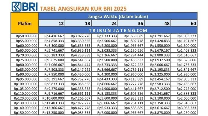 Berapa Cicilan Bulanan Dari Pinjaman Rp100 Juta di KUR BRI 2025? Dan Apa Saja Syaratnya?