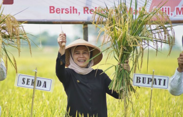 Jadi Lumbung Pangan Nasional, Bupati Nina Kembali Raih Penghargaan di Bidang Pertanian