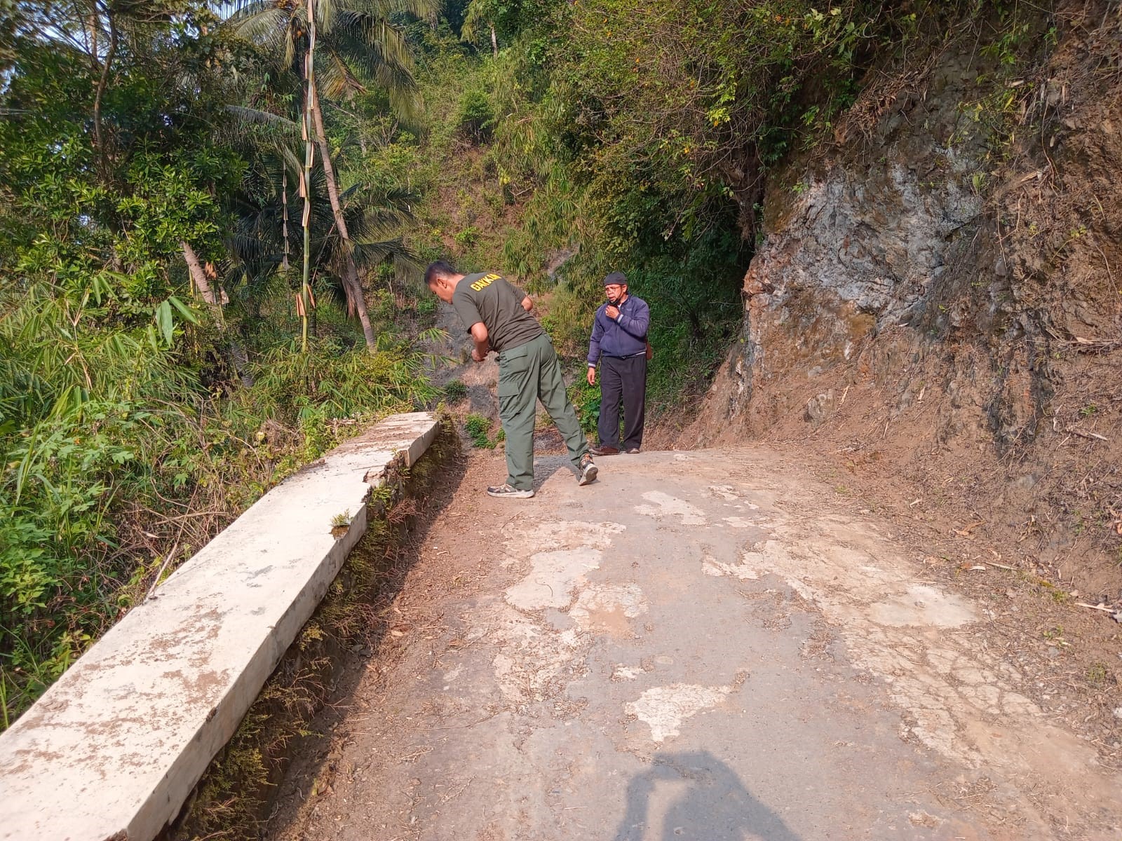 Pemantauan BKSDA Mengenai Macan Tutul di Jamberama Diduga Individu yang Berbeda dengan di Gunungmanik