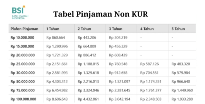 Mau Pinjaman Tanpa Riba Hingga Rp100 Juta? Non KUR BSI Solusinya, Cicilan Cuma Rp89 Ribu Per Hari!