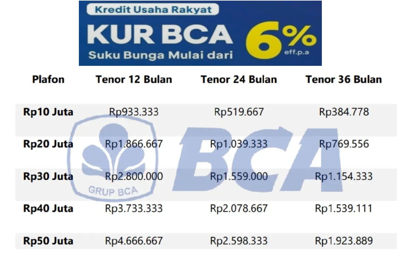 Pinjaman BCA Rp30 Juta Angsuran Berapa Perbulan? Mulai dari Rp1 Juta Berikut Syarat-syaratnya