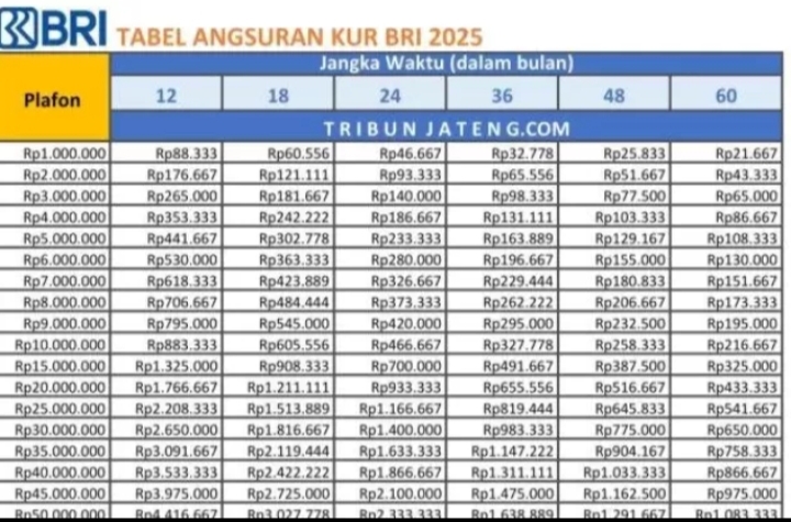 UMKM Bisa Dapat Modal Usaha Rp1-10 Juta, Cicilan per Bulan Mulai Rp20 Ribuan, Cek Tabel Angsuran KUR BRI 2025!