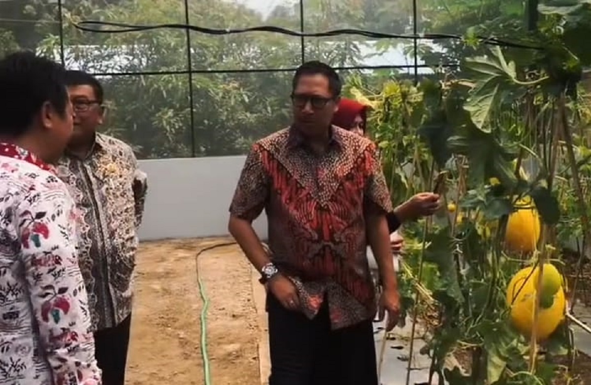 Pjs. Bupati Indramayu Tinjau Langsung Produksi Benih Unggul untuk Tingkatkan Produktivitas Pertanian