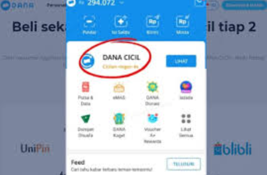Limit Aman Tapi Tetap Gagal, Apa Penyebab DANA Cicil Tidak Bisa Digunakan?