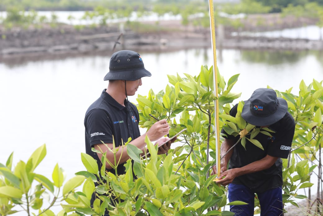 Peringati Hari Lingkungan Hidup Sedunia, BRI Pertegas Komitmen dalam Menjaga Ekosistem Lingkungan