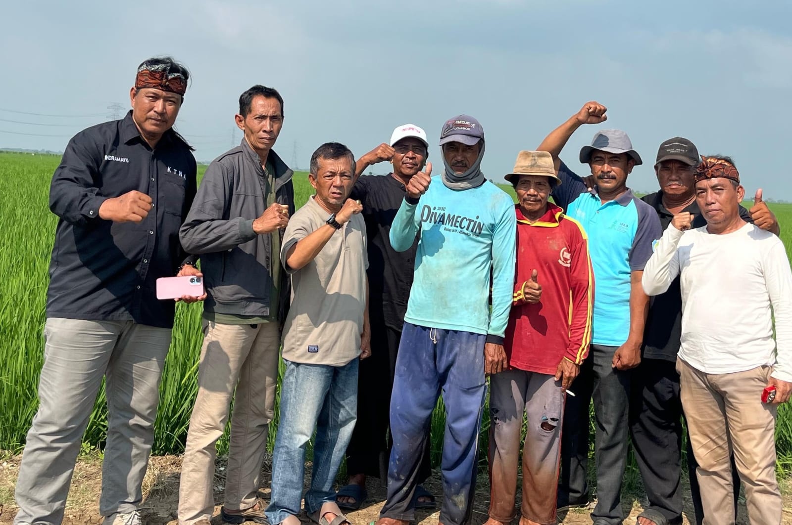 Pasca Pelepasan Predator Alami Tikus, KTNA Minta Adanya UU Perlindungan Burung Hantu