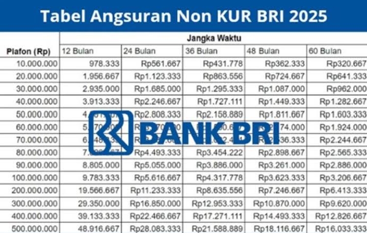 Pinjaman KUR BRI 2025 Maksimal Berapa? Bolehkah Pinjam 500 Juta? Simak Penjelasannya di Sini!