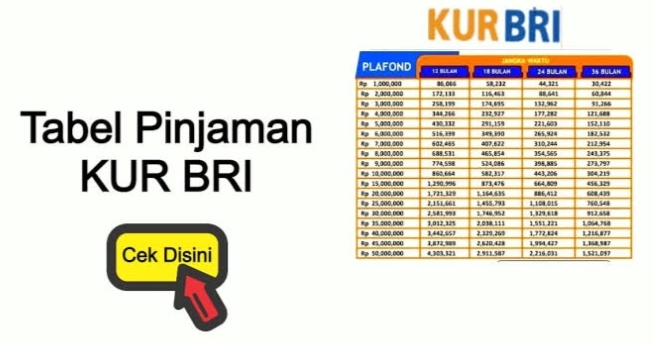 Pinjaman KUR BRI 2025 UMKM Kecipratan Untung! Cair Cepat Rp50 Juta: Angsuran Bisa Tenor Panjang