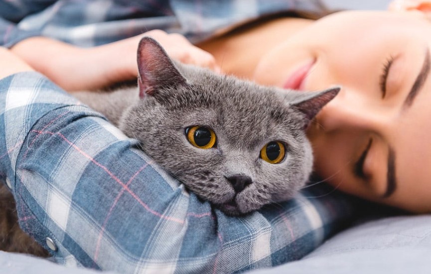 5 Efek Tidur Bersama Kucing yang Ternyata Masih Sering Disepelekan! Simak Selengkapnya Disini!