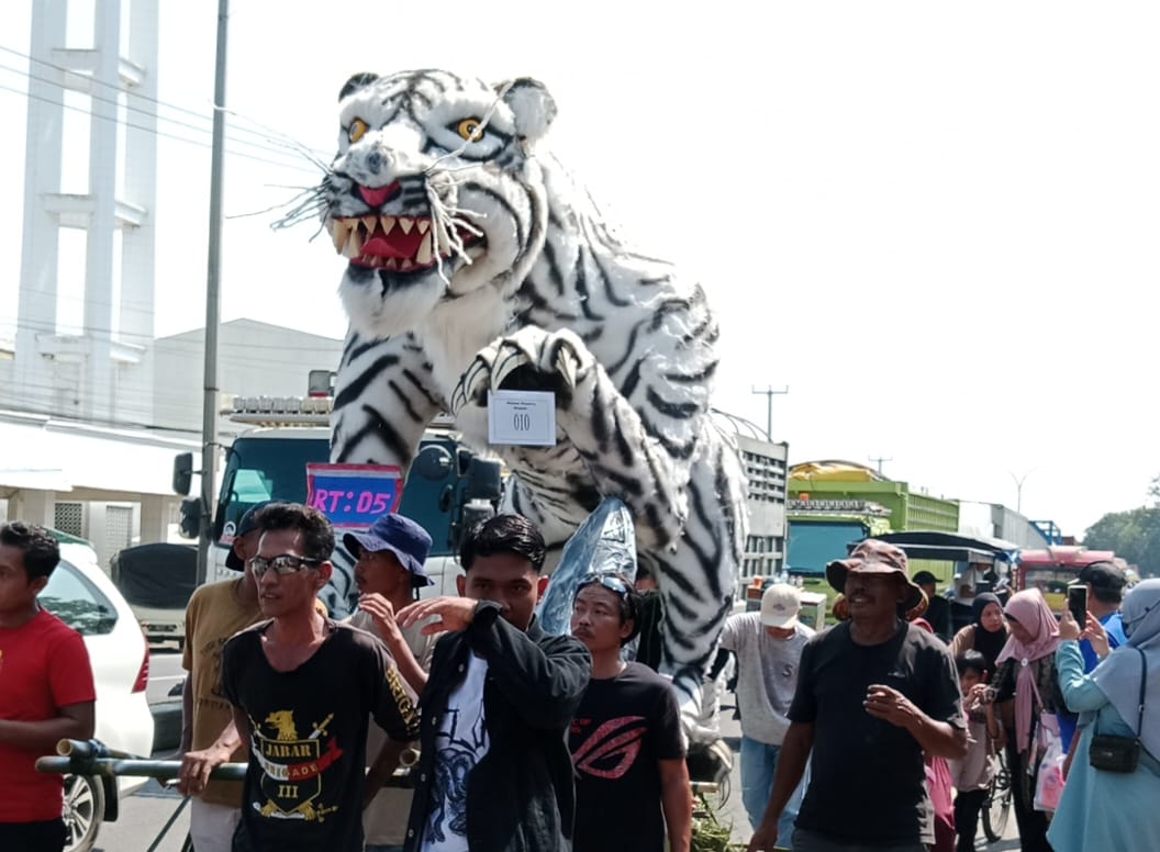 Maung Bodas Ikut Meriahkan Pelaksanaan Adat Mapag Sri di Desa Tulungagung