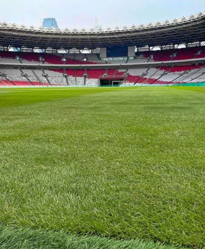 Direktur PPKGBK Jamin Rumput GBK Bisa Dipakai Selebrasi Pemain Timnas Indonesia Tanpa Takut Cedera