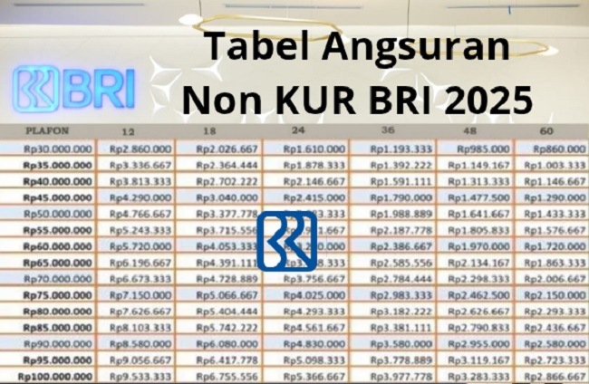 Update Rincian Skema Pinjaman Non KUR BRI Plafon 500 Juta: Cicilan Mulai 146 Ribu Tenor Hingga 5 Tahun!