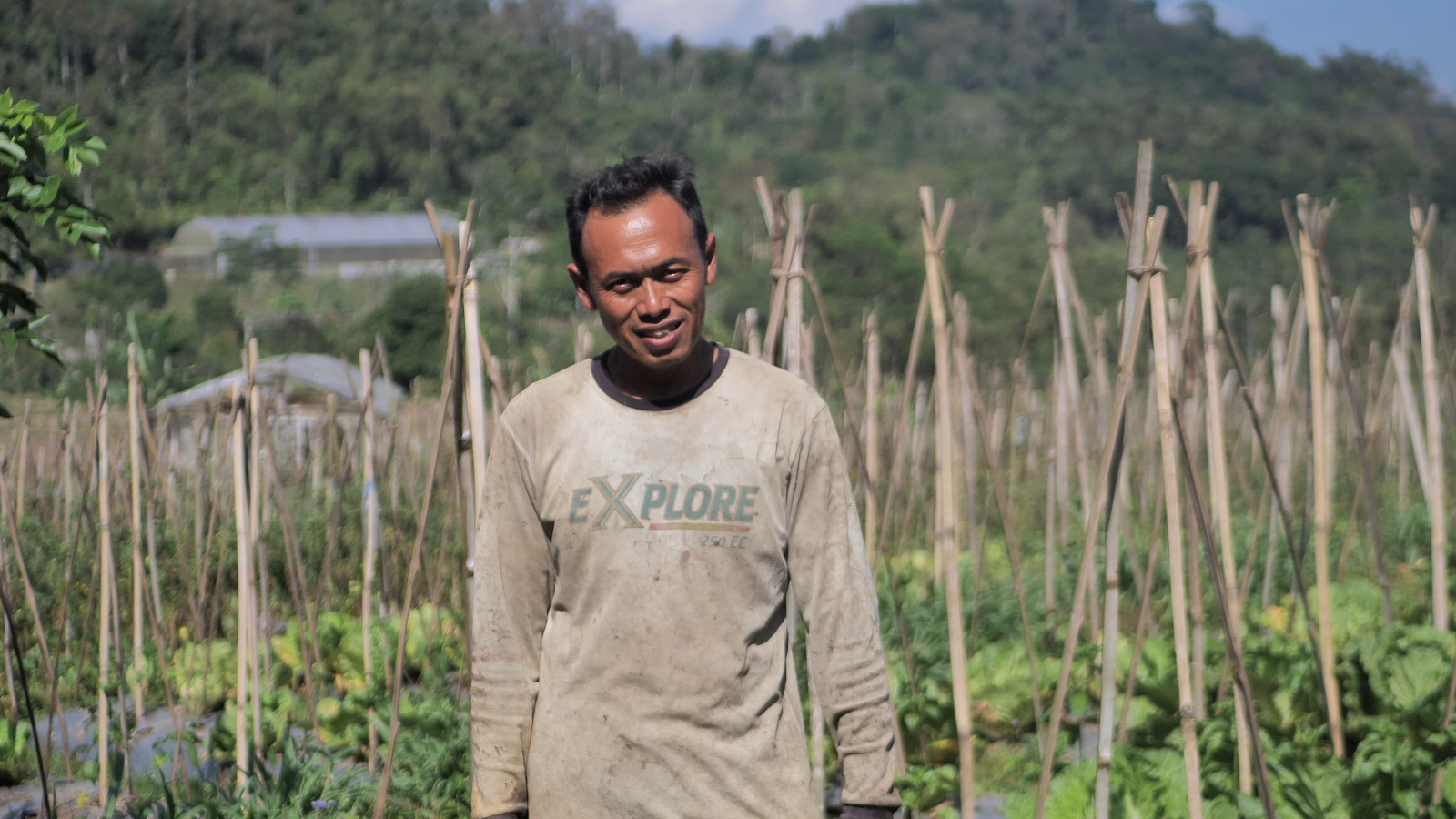 Mengenal Desa BRILian Sumowono, Desa Sayur yang Tumbuh dan Terus Berinovasi Bersama BRI 