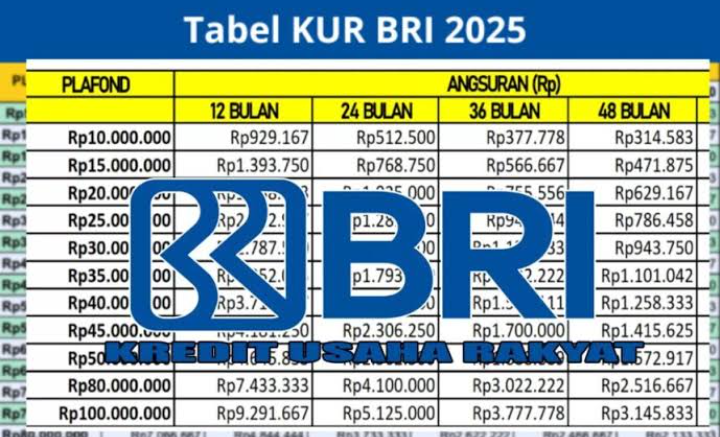 Apa Saja Syarat dan Ketentuan KUR BRI 2025? Cek di Sini!
