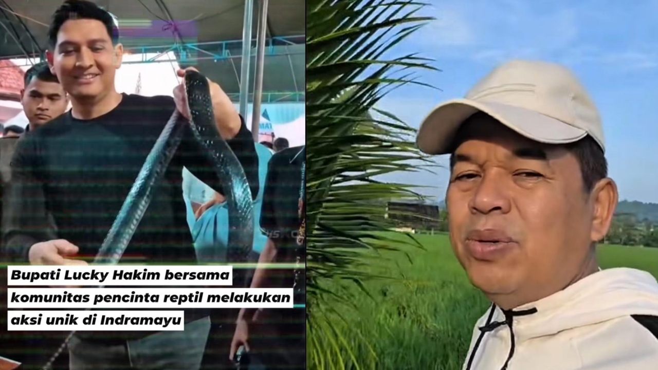 KDM Puji Lucky Hakim Gegara Lepas Ular di Sawah, Ternyata Ini Alasannya