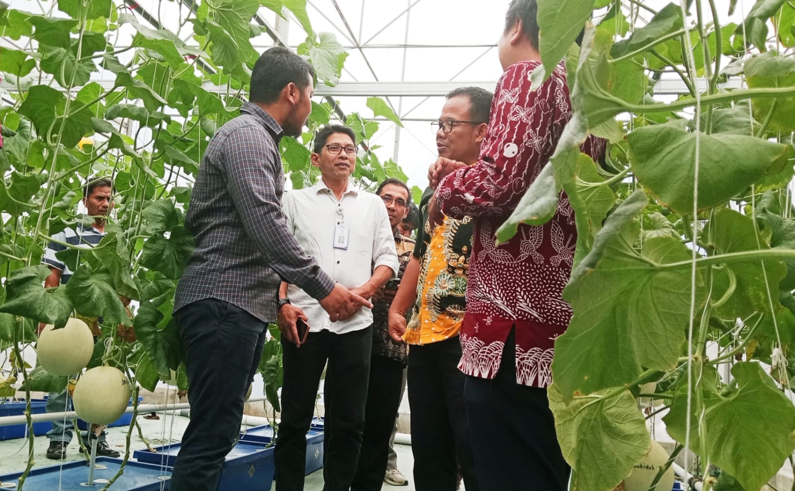 Dongkrak Produksi Melon di Indramayu, Pemkab Indramayu Dukung Kolaborasi APEMI dan TIKA