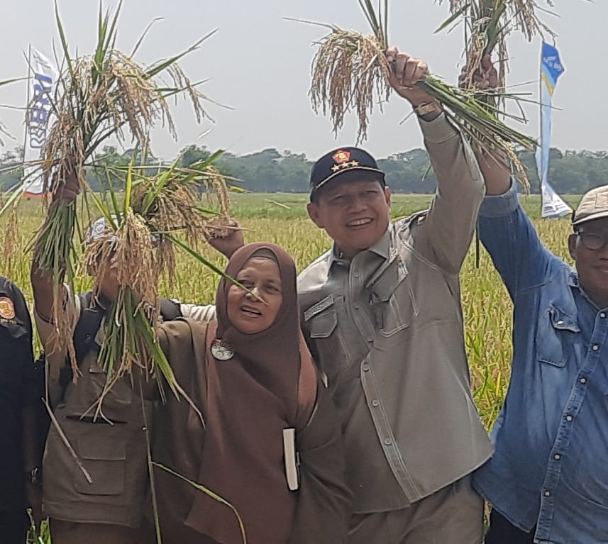 ICMI Bersama Aleg  Provinsi Jabar Dukung Pengembangan Lahan Padi Organik di Indramayu