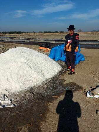 Harga Garam Anjlok, Petani di Kabupaten Cirebon Merugi Tidak Bisa Menutupi Ongkos Produksi