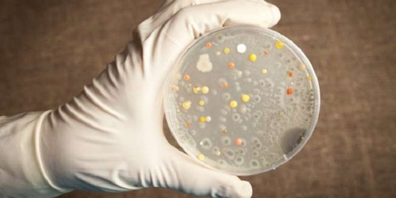 Ditemukan Bakteri Mematikan yang Sebabkan Melioidosis di Air dan Tanah Mississippi AS