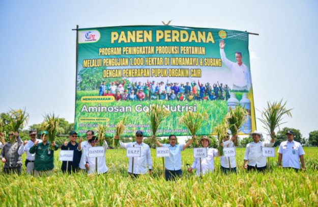 Kabupaten Indramayu Jadi Percontohan Nasional Pertanian Organik