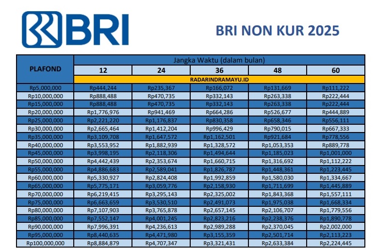 Butuh Pinjaman Diluar KUR, Berikut Skema Pinjaman BRI Non KUR Plafon 100 Juta Lengkap dengan Cicilannya