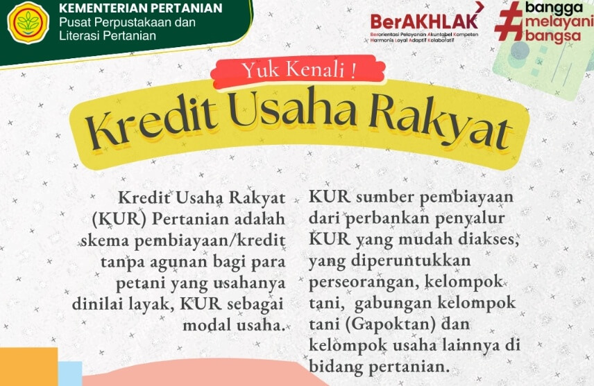 Lebih Baik Daripada Pinjol, Ini Skema KUR BRI Mikro Cocok untuk Petani, Bisa Angsuran Rp1 JT Sampai Rp50 JT
