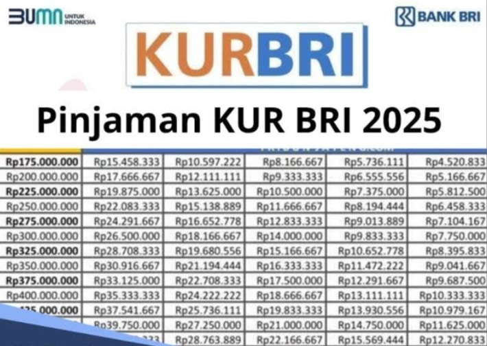Pilihan UMKM, Tabel KUR BRI 2025 Pinjaman 200 Juta Jadi Incaran! Cicilan Lebih Ringan Pada Skema Terbarunya 
