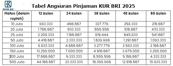 Modal Usaha Nanggung? Cek Tabel KUR BRI 2025 Ini, Pinjam Rp10 Juta Sampai Rp500 Juta Bunga Cuma 6%!