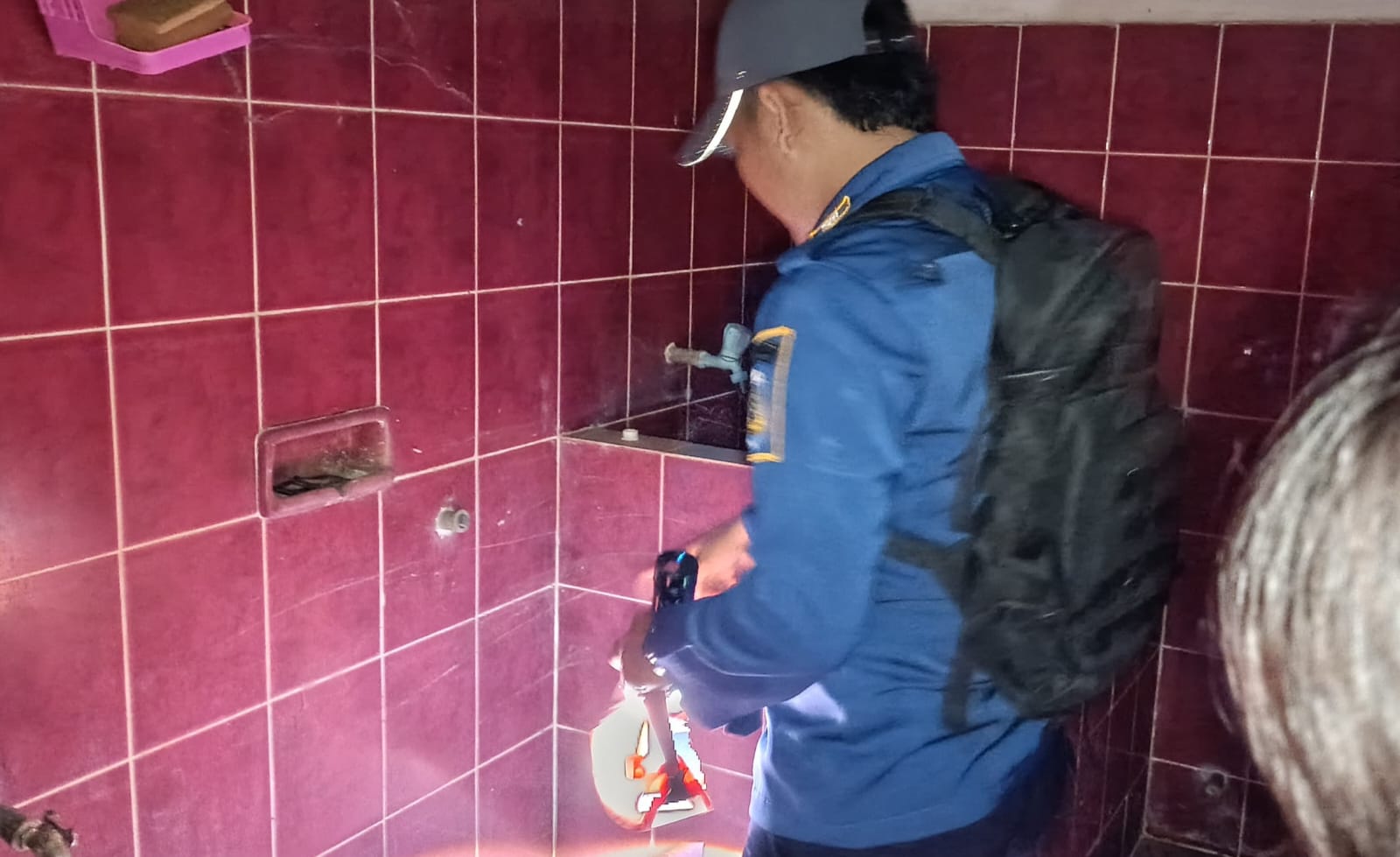 Musim Penghujan Warga Diminta Waspadai Ular Masuk Rumah