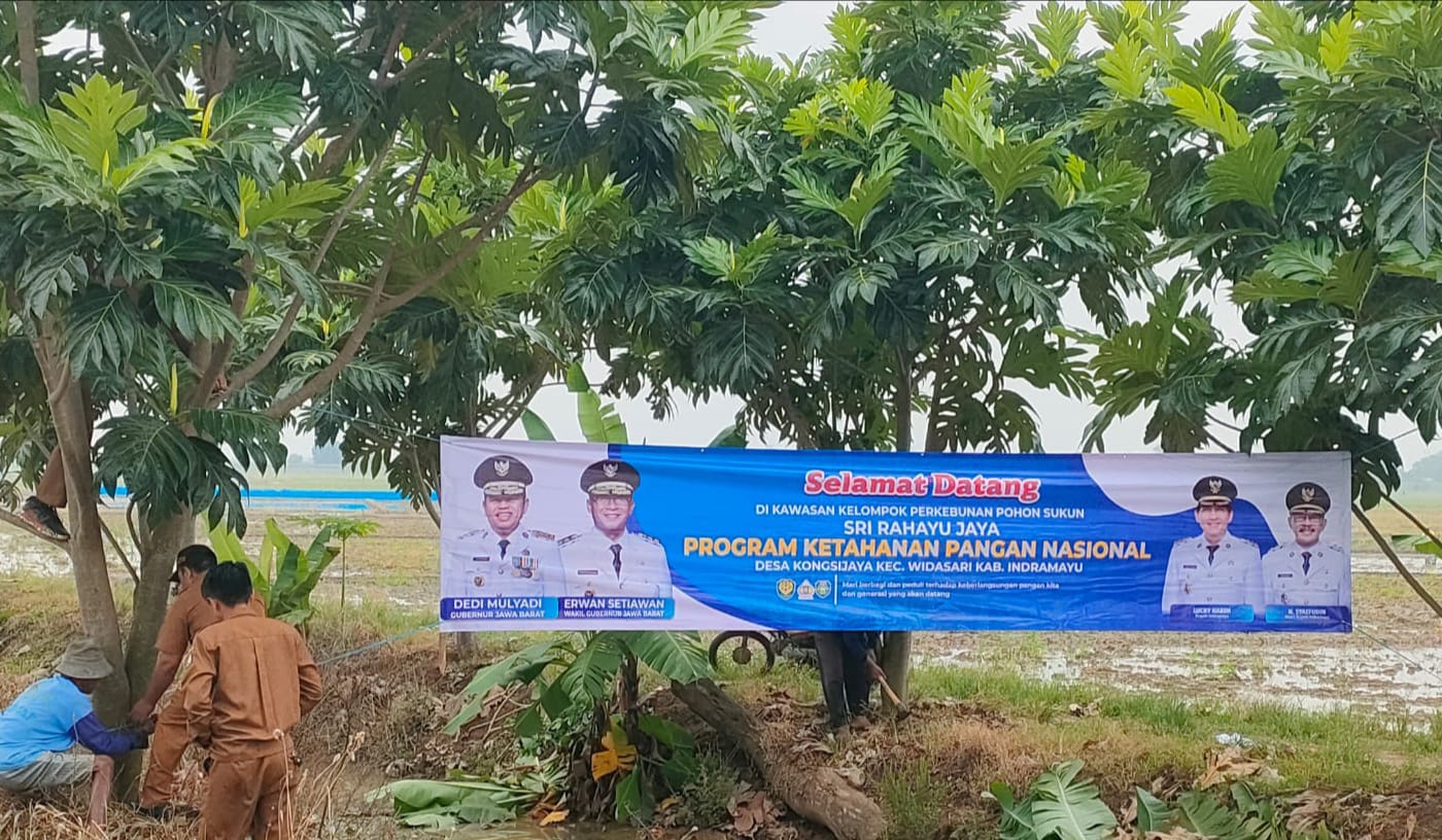 Dukung Ketahanan Pangan Nasional, Pemdes Kongsijaya Tanam Ribuan Pohon Sukun