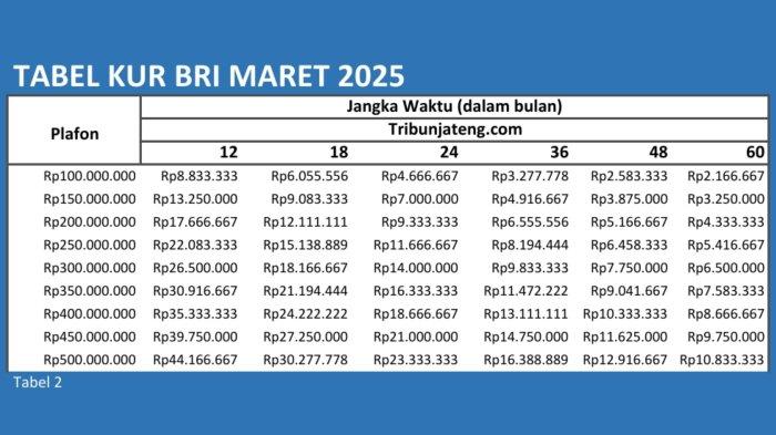 Ini Bocoran Tabel Angsuran KUR BRI 2025 Terbaru, Pinjaman hingga Rp500 Juta, Segini Cicilan Terendahnya!