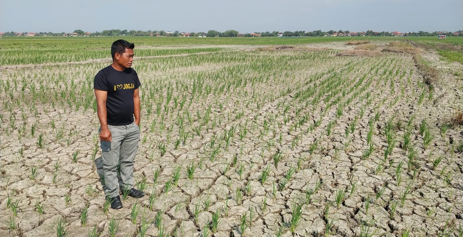 Siaga Kekeringan, BPBD Sebut Belum Ada Desa yang Melaporkan Kekurangan Air Bersih