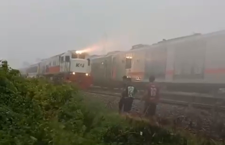 Pohon Tumbang Halangi Jalur Kereta di Cipunegara-Haurgeulis