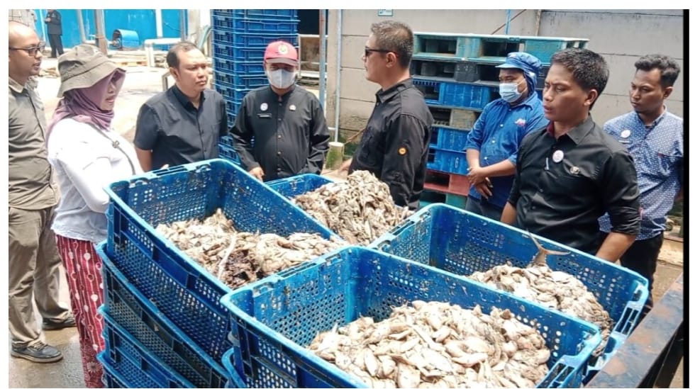 Bau Menyengat, Tim Gabungan Hentikan Sementara Produksi Pabrik Tepung Ikan