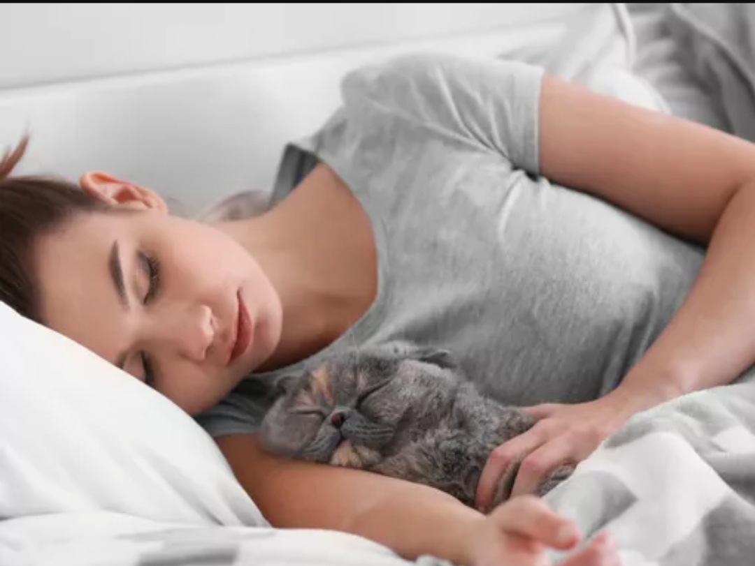 Kenali 4 risiko tidur dengan kucing, bahaya atau tidak?