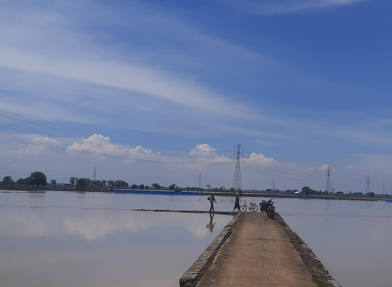 Memasuki Musim Tanam, Puluhan Hektare Sawah Kebanjiran di Kecamatan Widasari