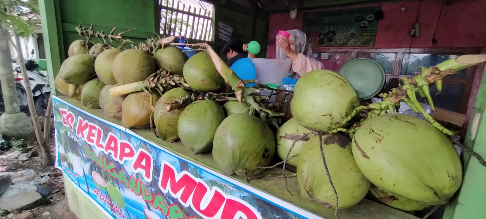 Kelapa Muda Lokal Langka, Pedagang Datangkan dari Luar Daerah