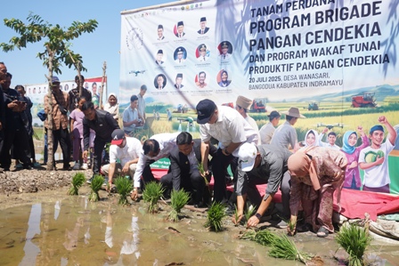 Bupati Pertahankan Indramayu sebagai Lumbung Padi Nasional