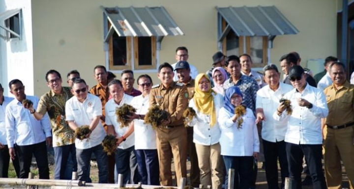 Indramayu Punya Potensi Besar dari Rumput Laut, Bupati Lucky: Ini Peluang Dongkrak Ekonomi Daerah