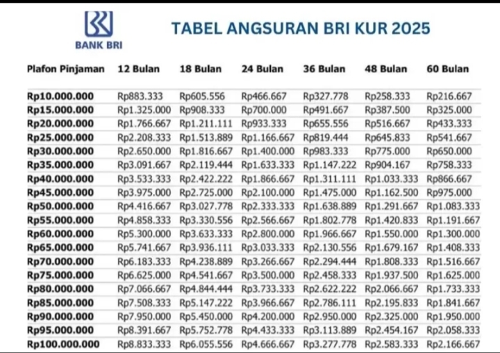 Pinjam 50 Juta dari KUR BRI, Cicilannya Cuma Rp35.000 per Hari! Ini Tabel Angsuran Terbaru Edisi Juni 2025