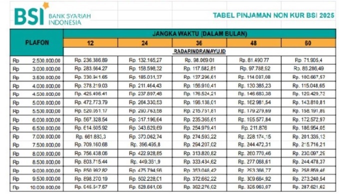 Dapatkan Pembiayaan Modal Non KUR BSI 2025 200 Juta, Berikut Cicilan dan Tenor Mulai dari 433 Ribu Tanpa Bunga