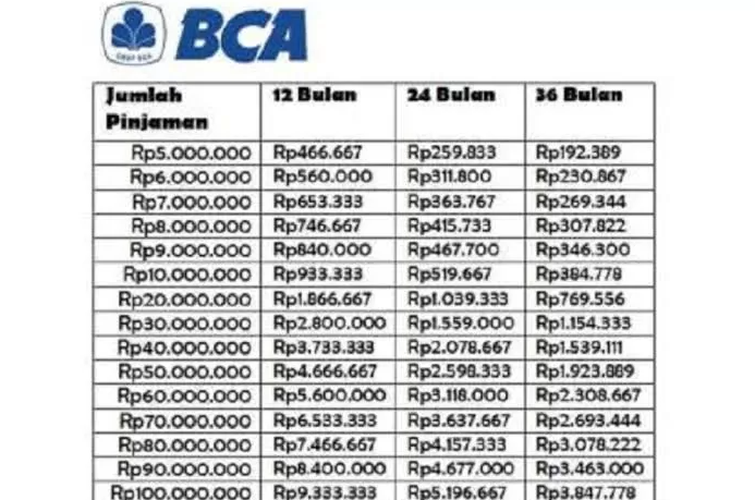 Cuma 10 Menit Isi Formulir, KUR BCA Online Langsung Disetujui? Ini Buktinya!