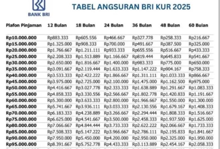 KUR BRI 50 Juta Angsuran Berapa? Tenor 60 Bulan Hanya Rp216.667 Ribu Cicilan! Lihat Skemanya Disini