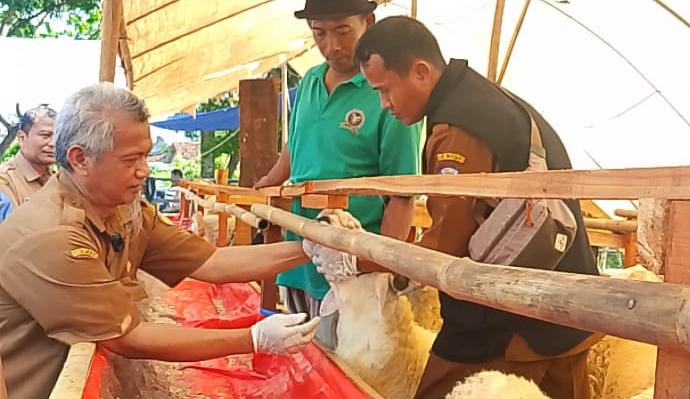 DKPP Indramayu Pastikan Kesehatan Hewan Kurban