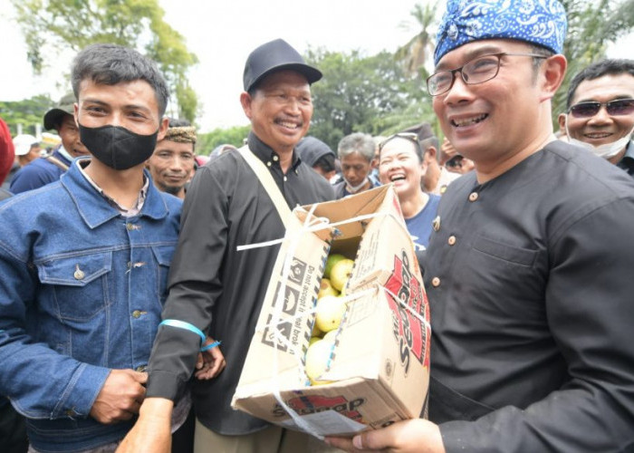 Gubernur Ridwan Kamil Temui dan Serap Aspirasi AP2SI Jabar