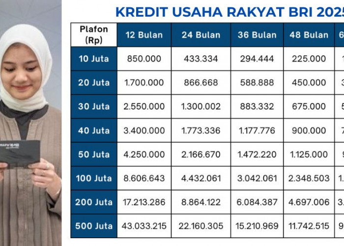 Cara Ajukan Kur BRI 100 Juta Agar Modal Usaha Lancar dan Cicilan Bisa Disesuaikan Tenor