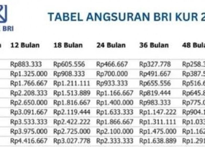 Update Tabel Angsuran KUR BRI 100 Juta 2025 Terbaru, Bisa Dicicil Selama 5 Tahun Berikut Bunga Flat Rendah
