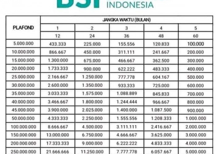 Pinjam 500 Juta Tanpa Khawatir Bunga dan Riba, Ini Rincian Terbaru KUR BSI dengan Cicilan Mulai dari 216 Ribu