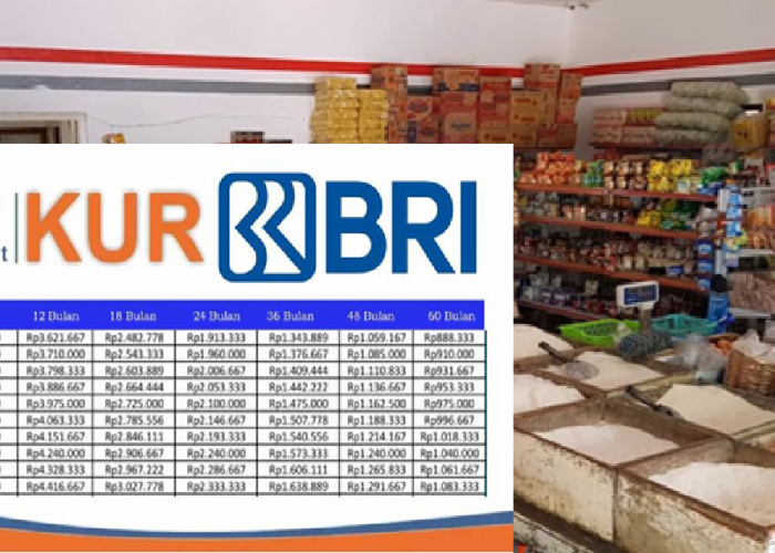 Gak Perlu Jaminan! KUR BRI 2025 Tawarkan Modal Rp500 Juta, Cicilan Mulai Rp210 Ribu Aja! 